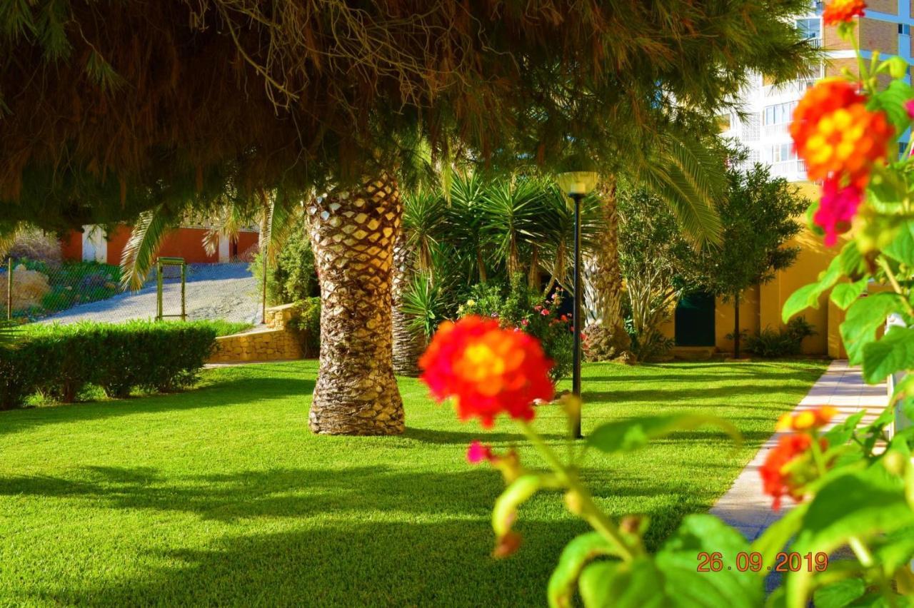 Bungalo En Primera Linea De La Playa El Campello Εξωτερικό φωτογραφία