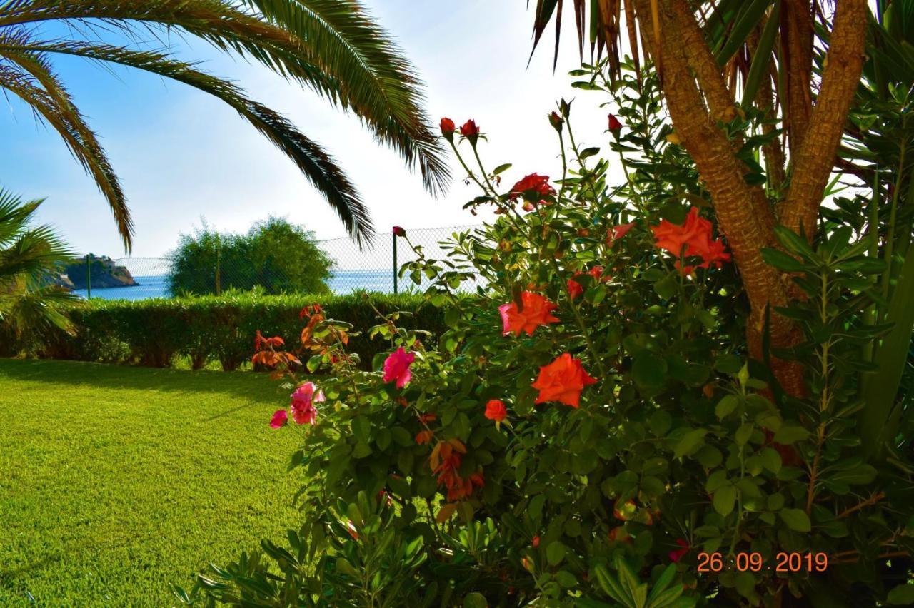 Bungalo En Primera Linea De La Playa El Campello Εξωτερικό φωτογραφία